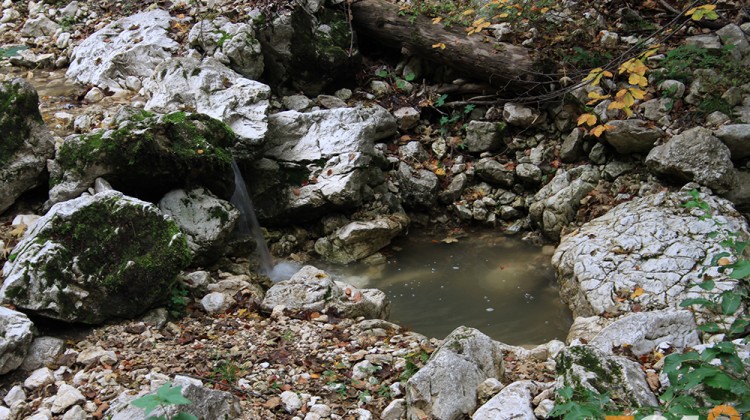 fotopiatracraiului piatra craiului