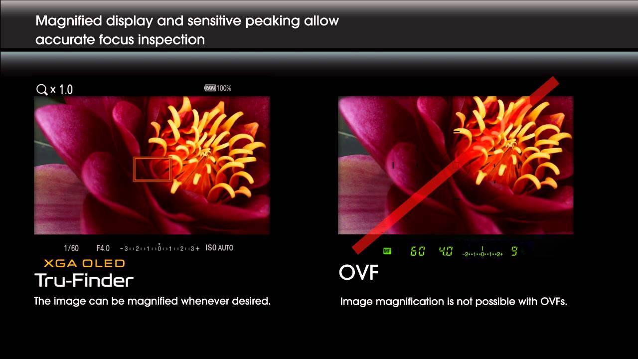 DSLR versus mirrorless Care este mai bun pentru tine? F64 Blog