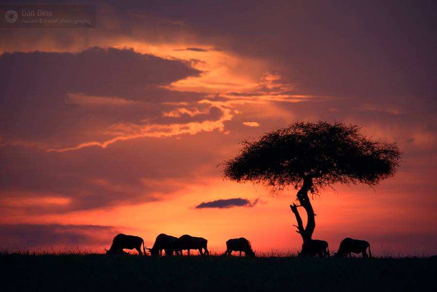 fotografii superbe africa