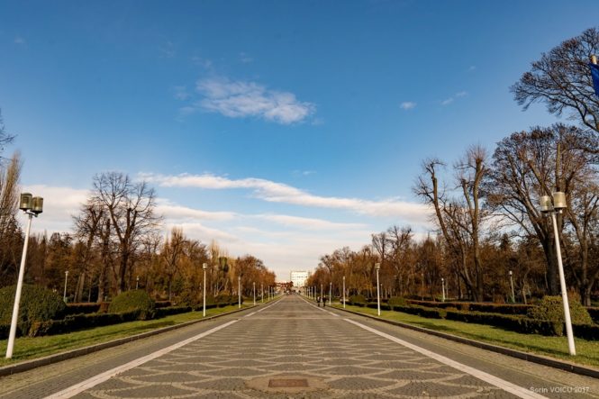 Sigma 16mm