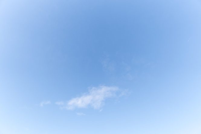 Sigma 16mm