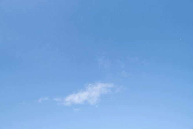 Sigma 16mm