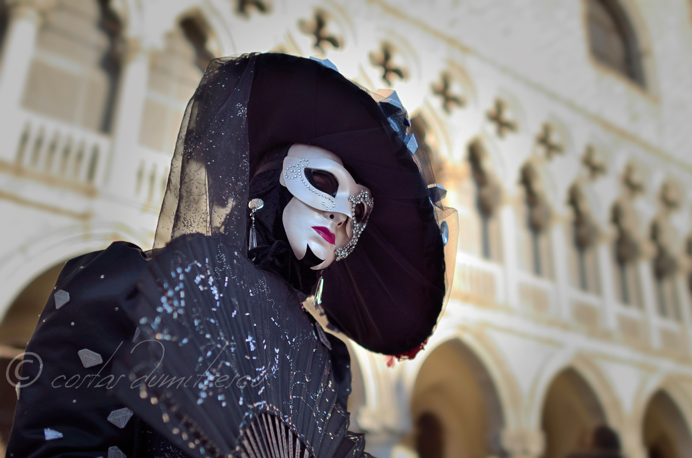  Carnaval la Venetia