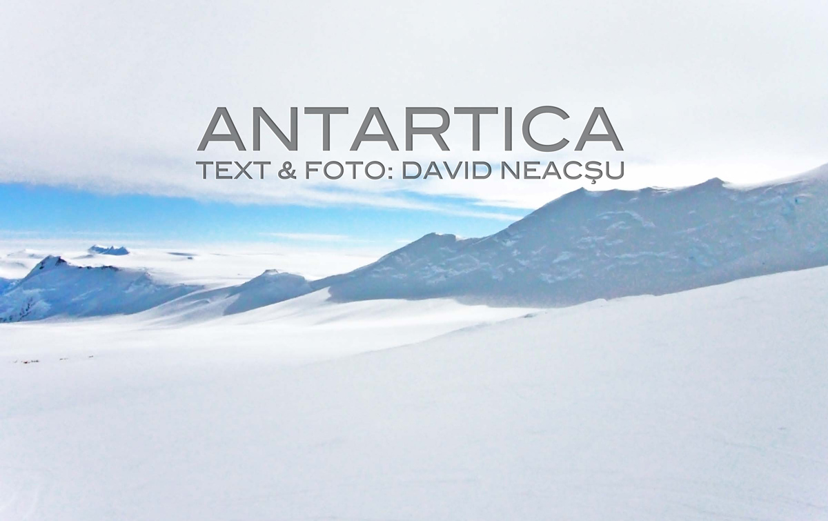  Antartica