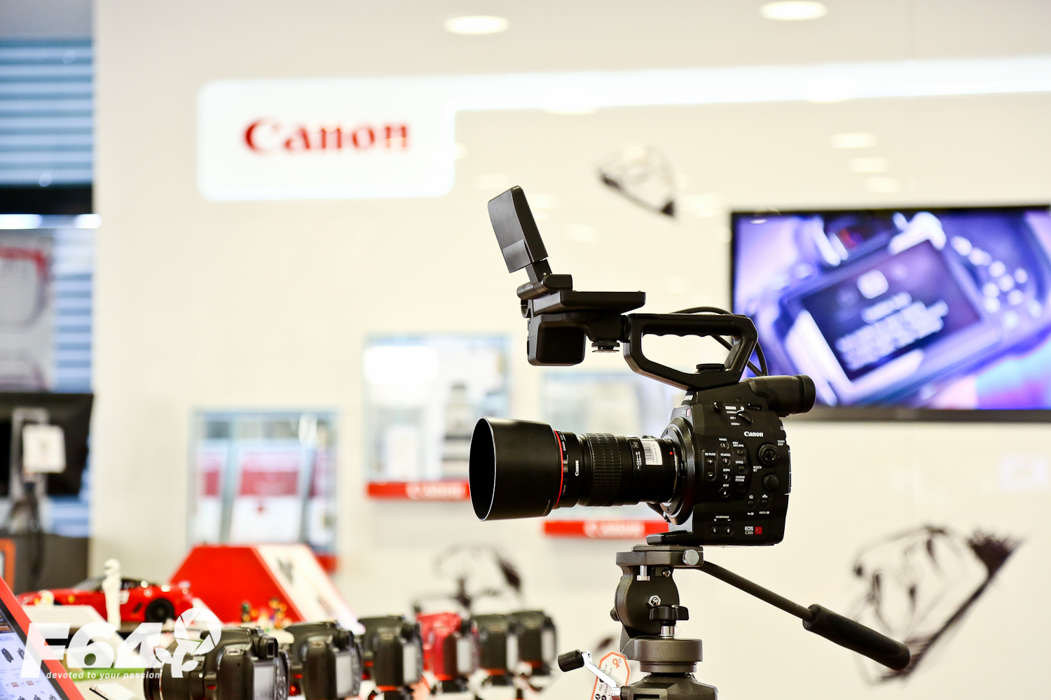  Canon EOS C300 – test in magazinul F64