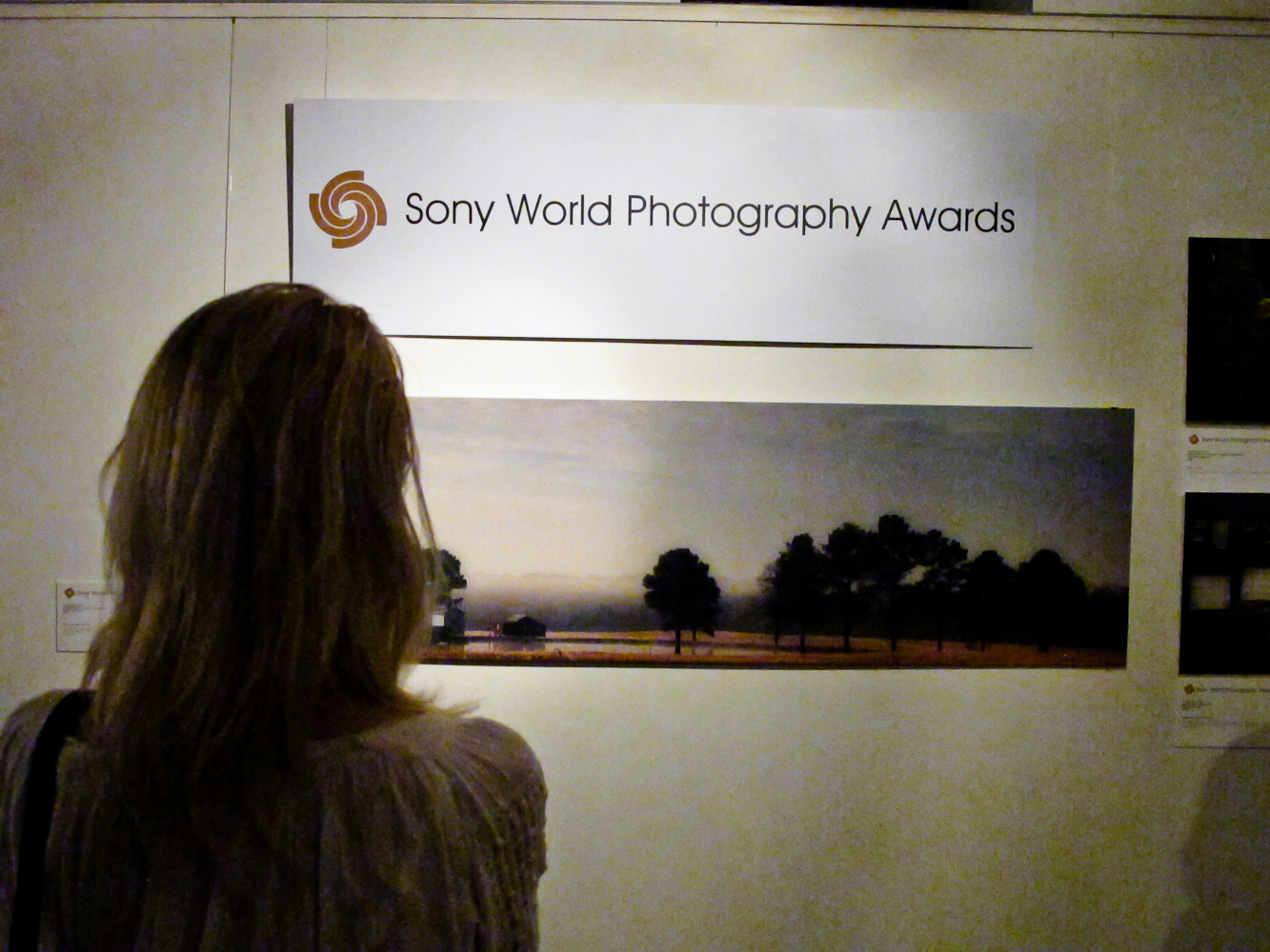  Premiile Mondiale Sony pentru Fotografie 2013