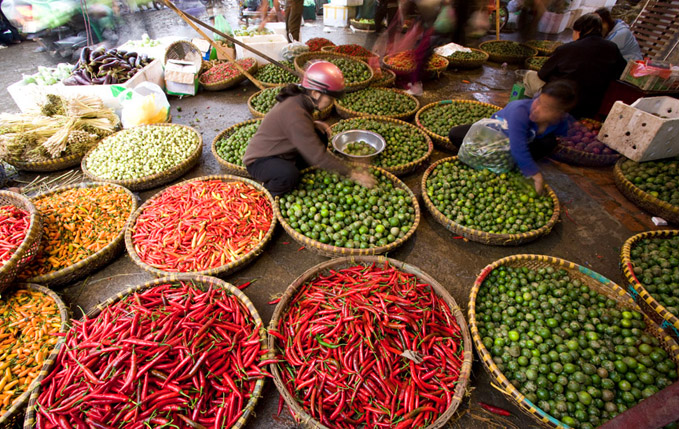  Vietnam – tinutul dragonului zburator