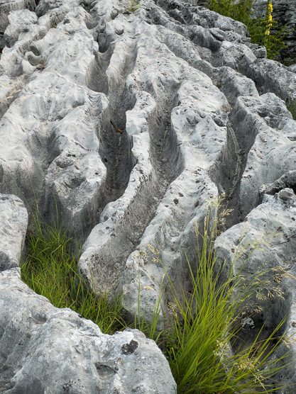 DSCF6187