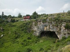 DSCF6219