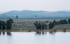 DSCF6383