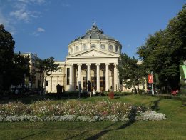 IMG_0013