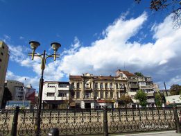IMG_0135