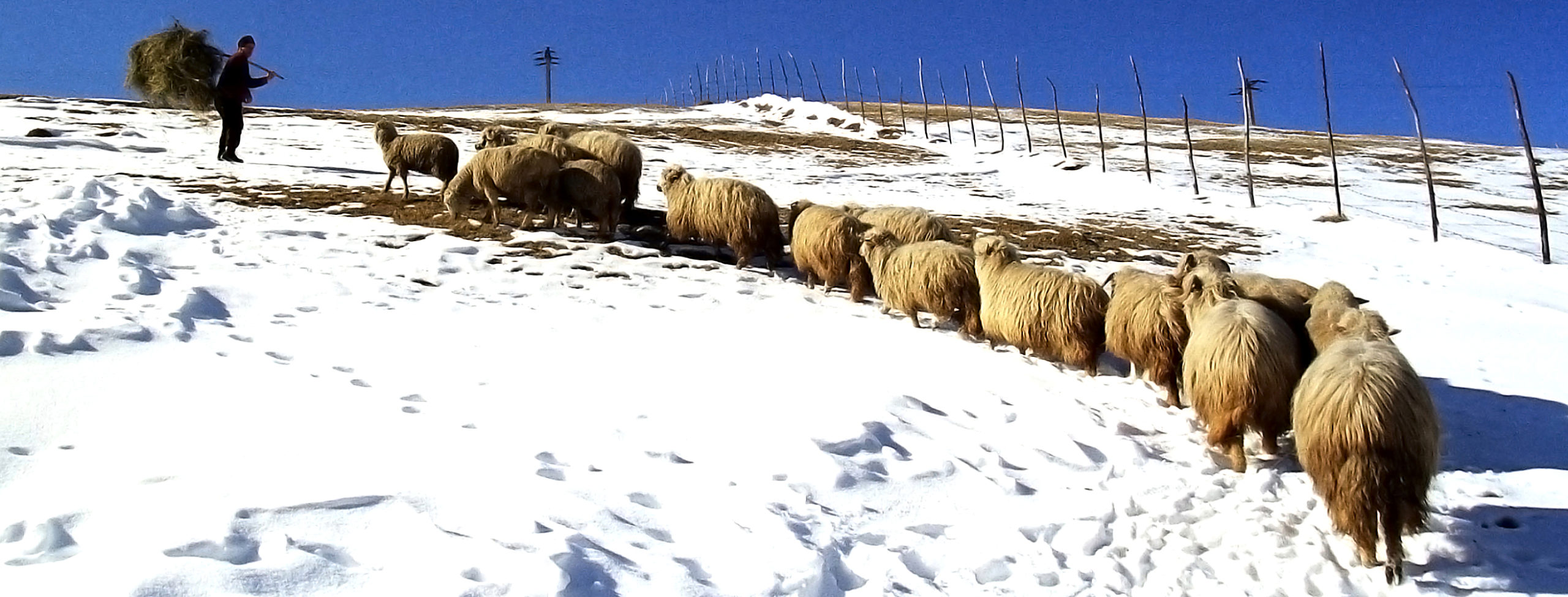  Intalnire fotografica la Cheia – Prahova