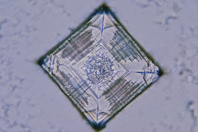 fotografia la microscop