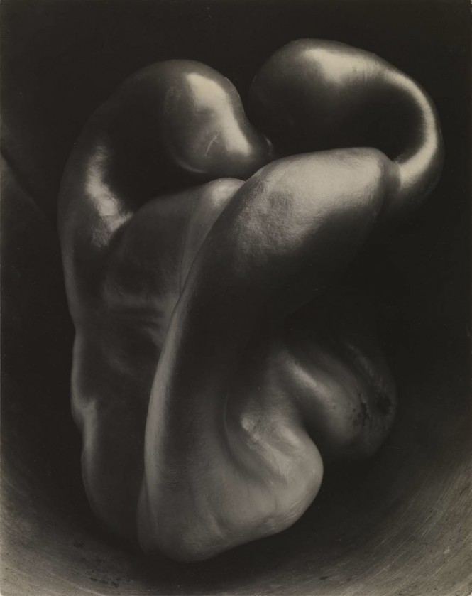 Leguma - fotografie realizata de Edward Weston