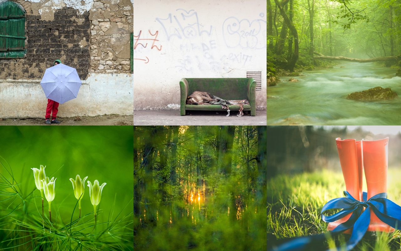  Concurs „Verde” – câștigătorii