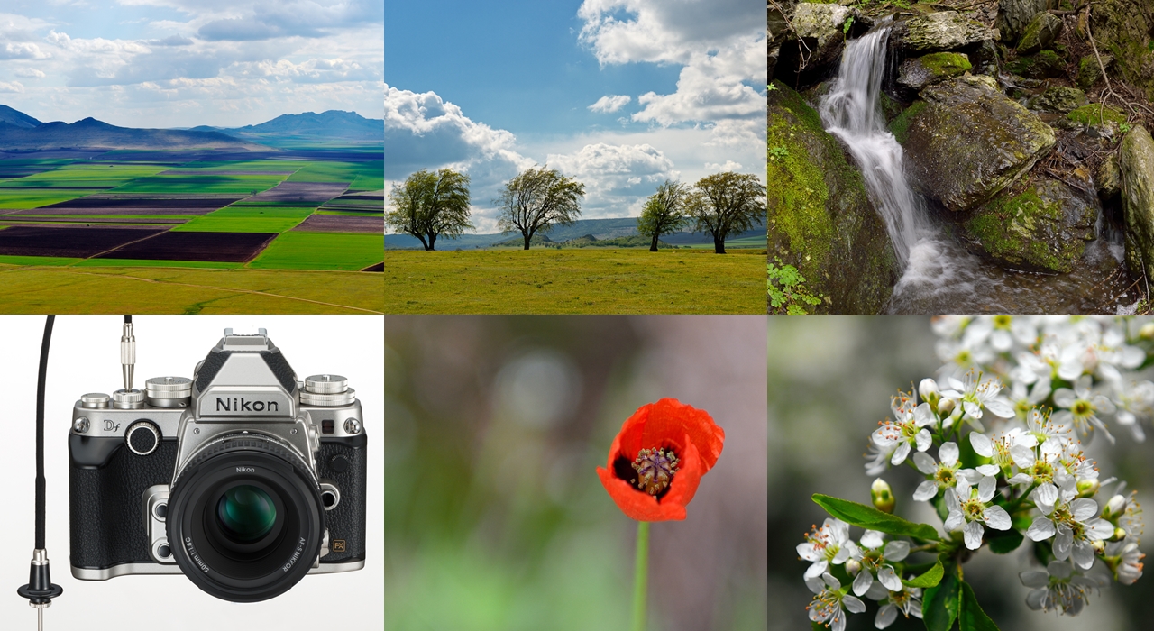  Review Nikon Df : un gentleman !