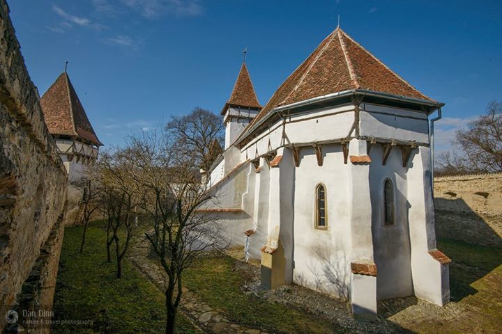  Tabăra Photolife – Cincșor 2015