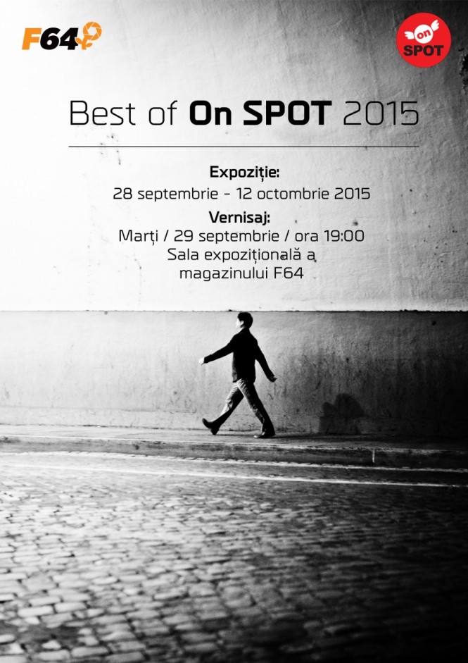 expozitie