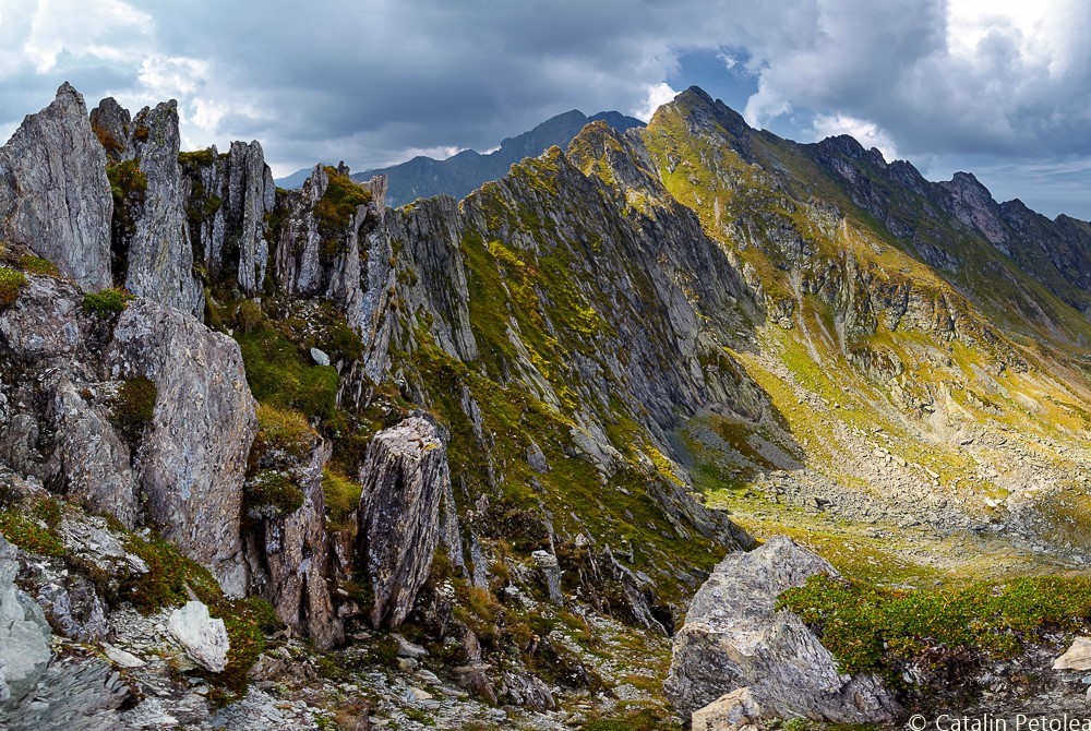  Sigma 24-35mm f/2 Art – deschizător de drumuri