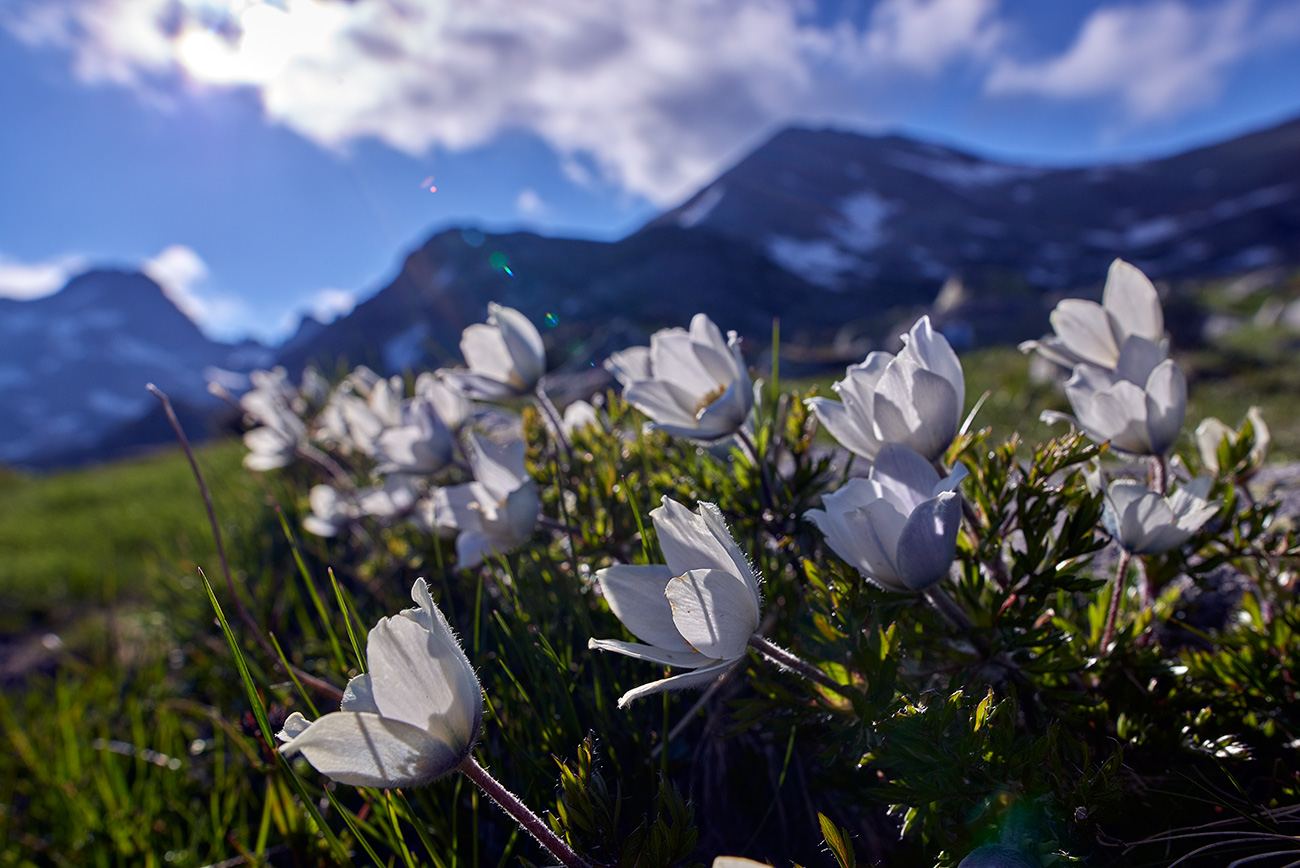  Review Sigma 24mm f1.4 DG HSM – A