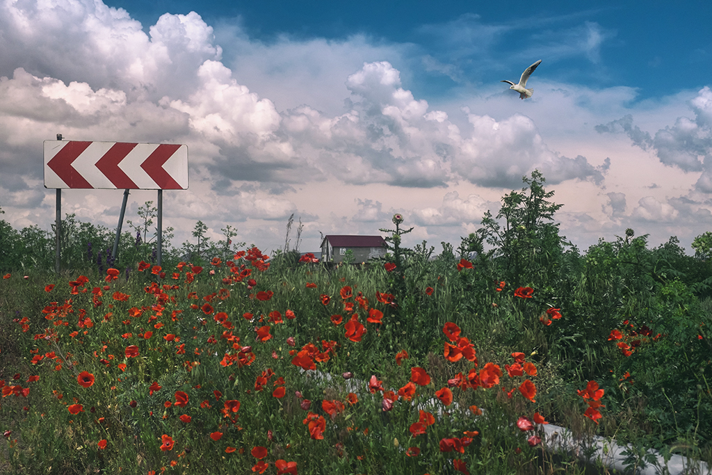  Despre Fujifilm X100T, la povesti cu Bogdan Tache
