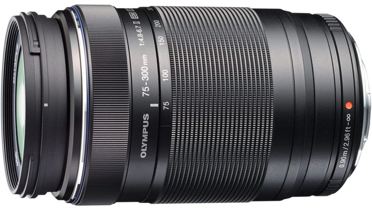 Review Olympus M.ZUIKO 75-300mm II - F64 Blog