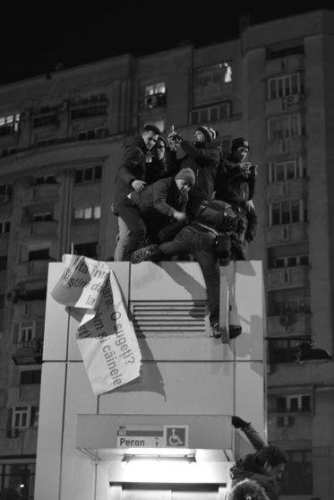 dan caluian protestul împotriva grațierii