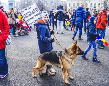 protestul împotriva grațierii