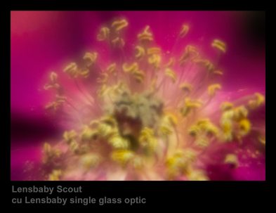 Kooka Lensbaby 01