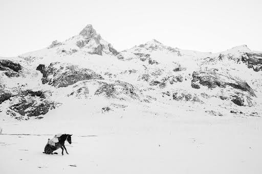sony world photography awards