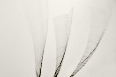 (c) Alex Axon – Tornadoes Coming