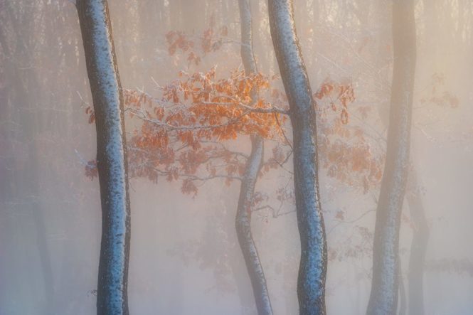 fotografii de toamnă