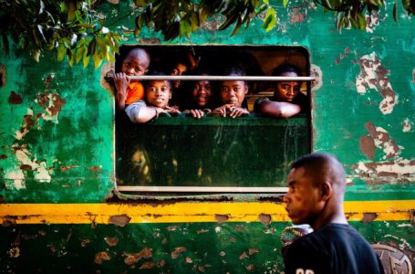 Din expoziția On Our Way To Madagascar – Powered by Nikon