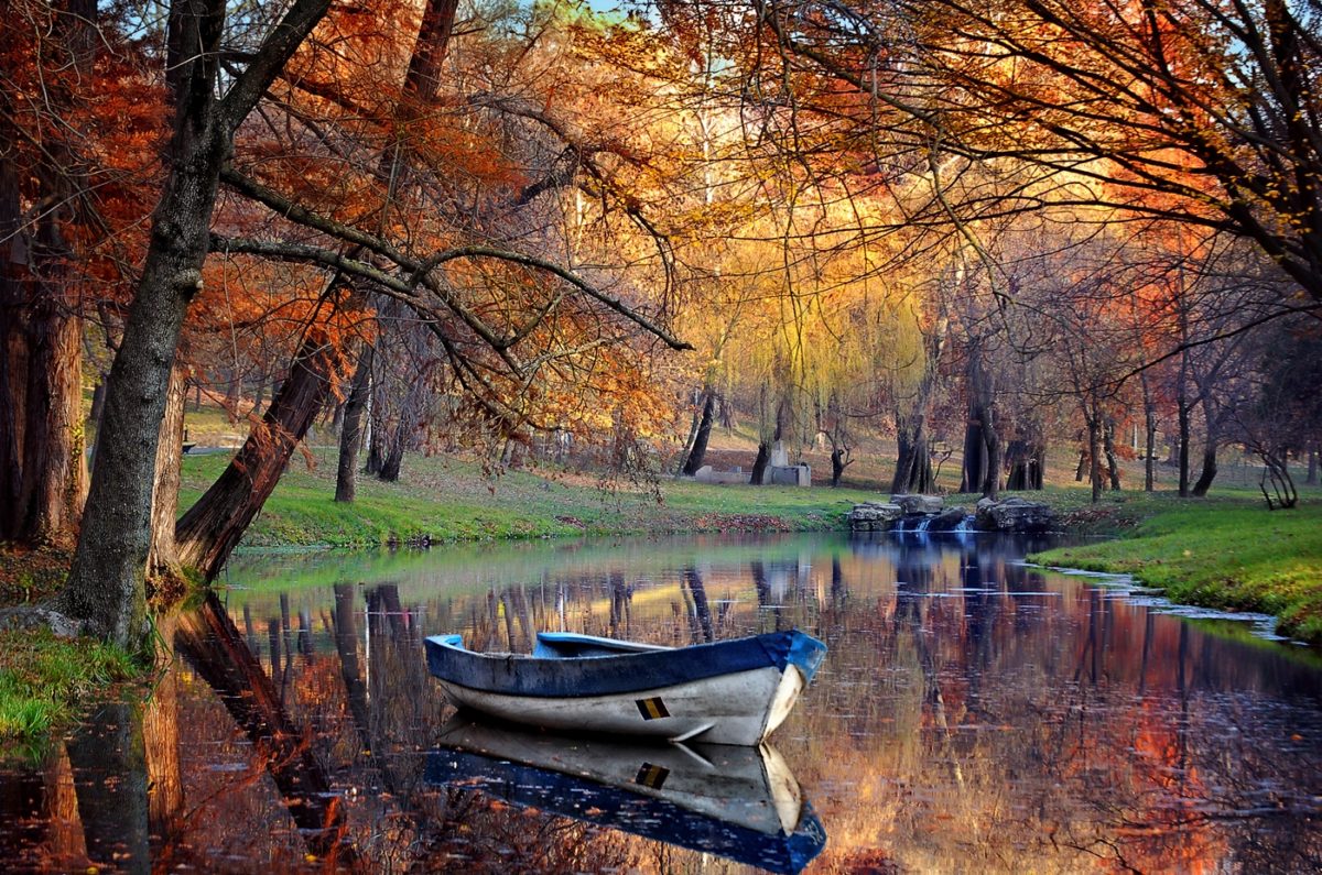 reflexii de toamna