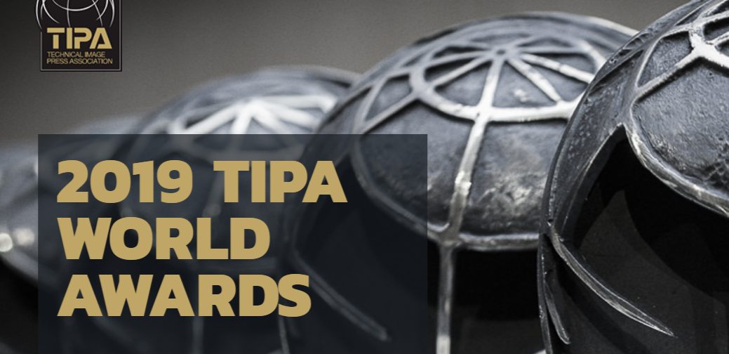  Câștigătorii premiilor TIPA 2019