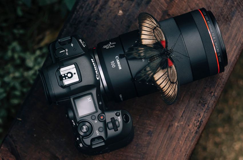  Canon anunță primele detalii despre EOS R3 și noi obiective RF