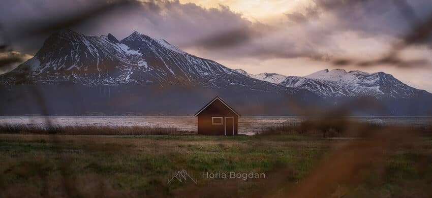  Samyang 35-150mm f/2-2.8 AF: Impresii de la Horia Bogdan