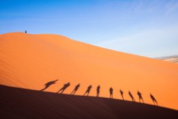 Fotografii - Axucc Photographer1-287