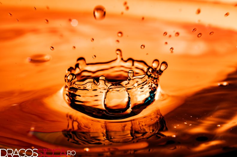 55467303797_3ec4ef99d8_o