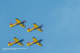 _DSC0145