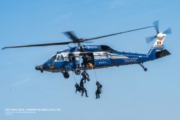 _DSC0302