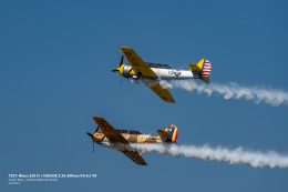 _DSC0407