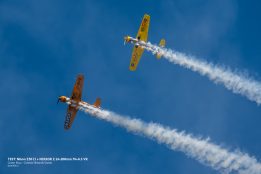 _DSC0414