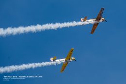 _DSC0470