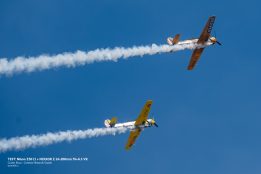 _DSC0470