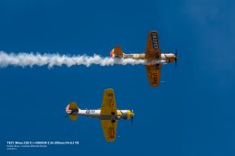 _DSC0479