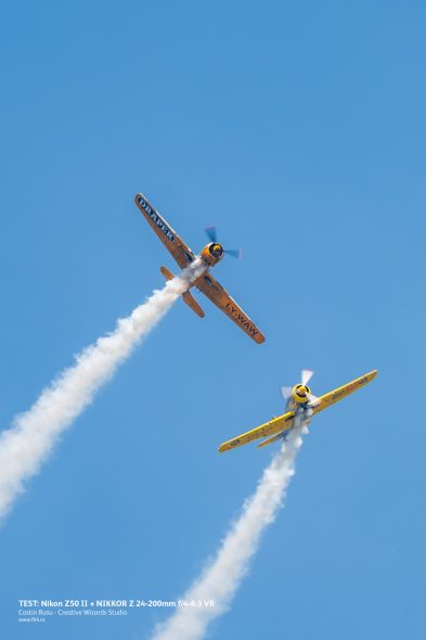 _DSC0494