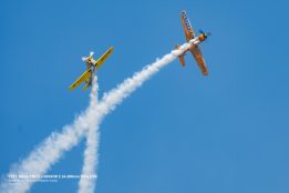 _DSC0496