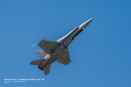 _DSC0667